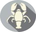Kabuklular (Crustacea) ve Ürünleri