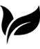 Vejetaryen